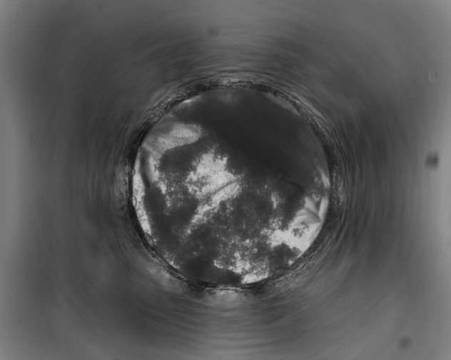 X0000099520475200806121506