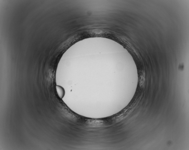 X0000099520476200806121506