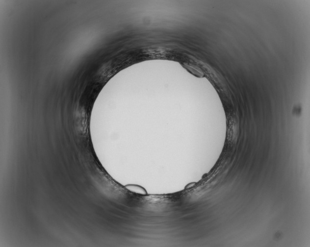 X0000099520477200806121506