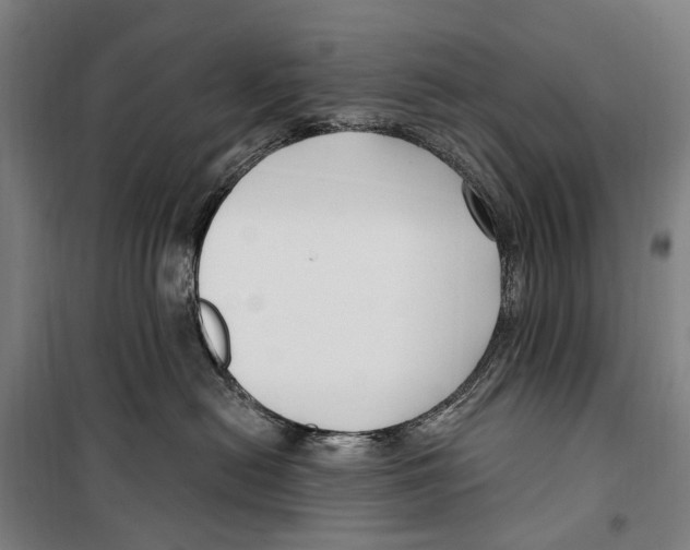 X0000099520478200806121506