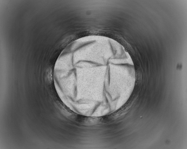 X0000099520479200806121506