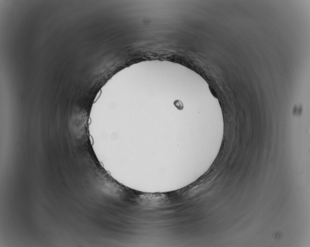 X0000099520480200806121506