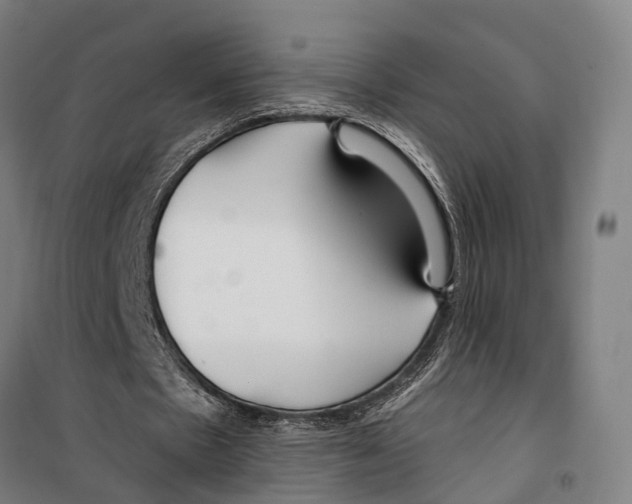 X0000099520481200806121505