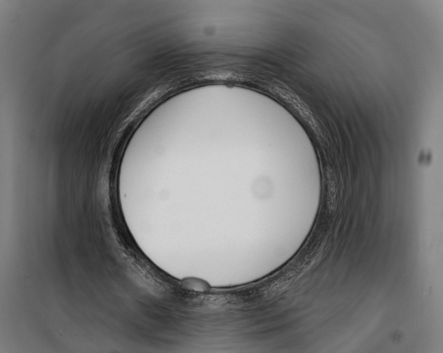 X0000099520482200806121505