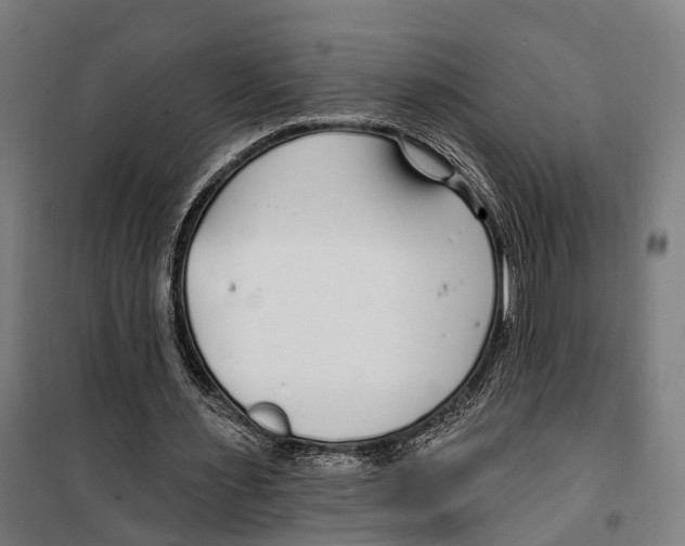 X0000099520483200806121505