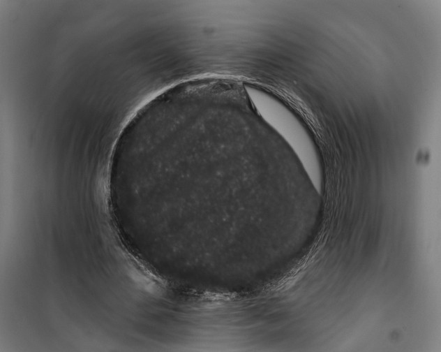 X0000099520484200806121505