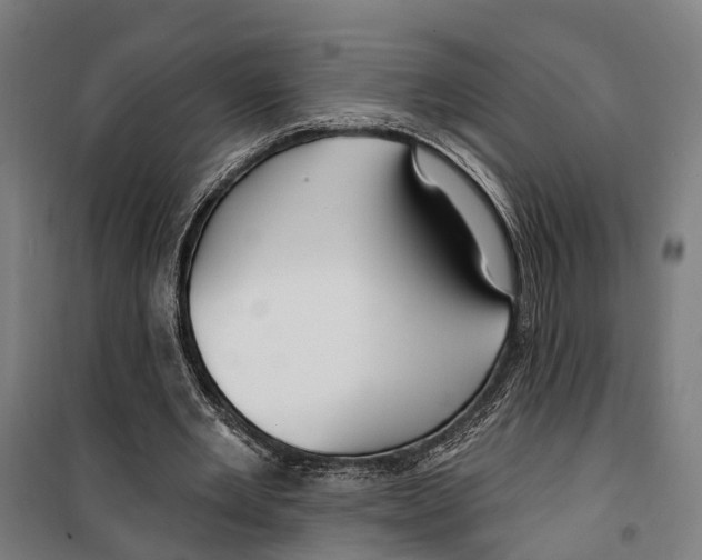 X0000099520485200806121505