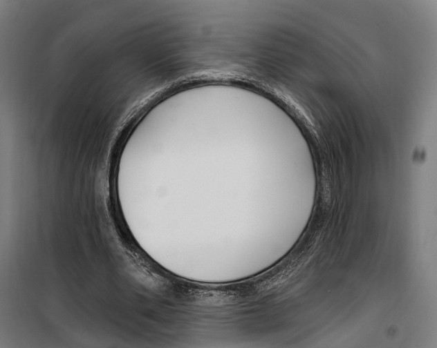 X0000099520486200806121505