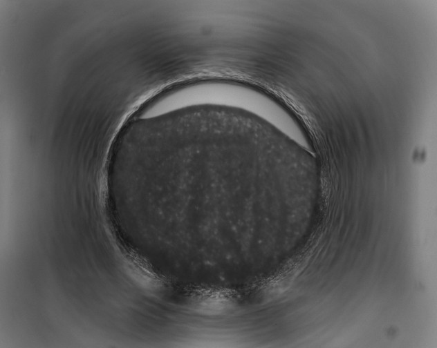 X0000099520488200806121505