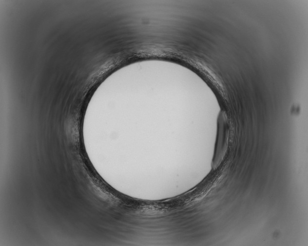 X0000099520489200806121505