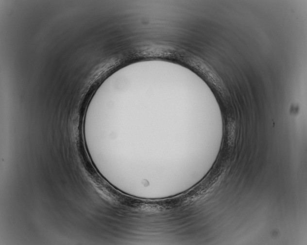 X0000099520490200806121505