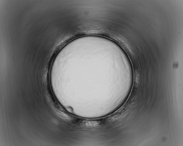 X0000099520491200806121505