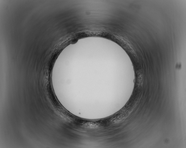 X0000099520498200806121505