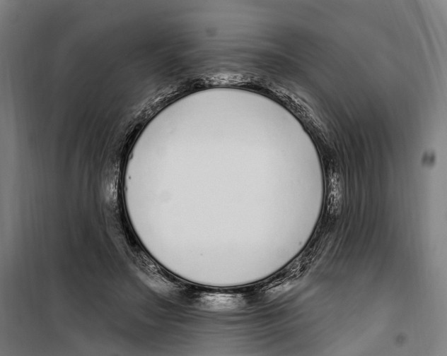 X0000099520499200806121505