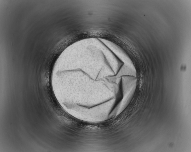 X0000099520502200806121505