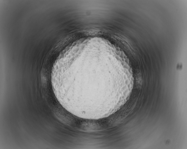 X0000099520503200806121505