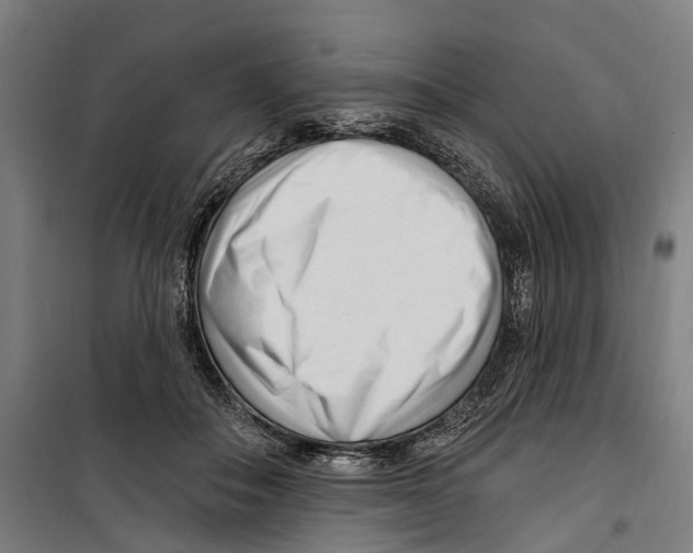 X0000099520506200806121505