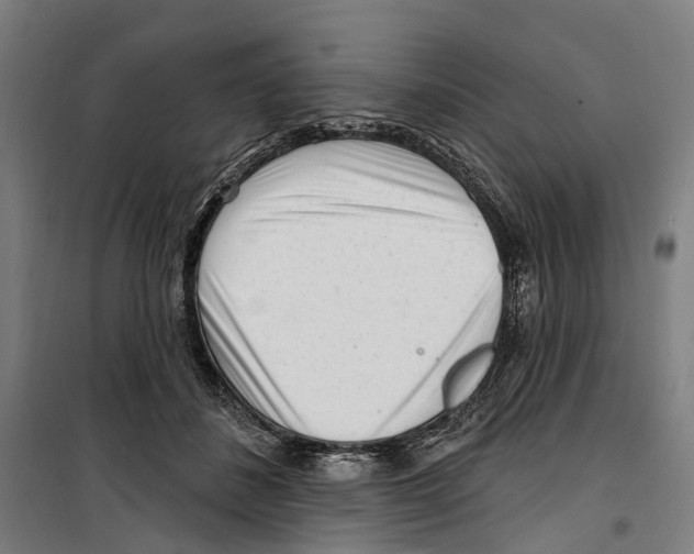 X0000099520508200806121505