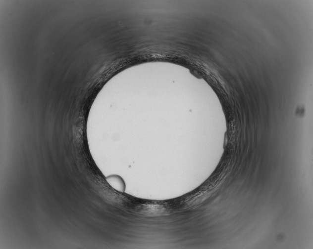 X0000099520509200806121505