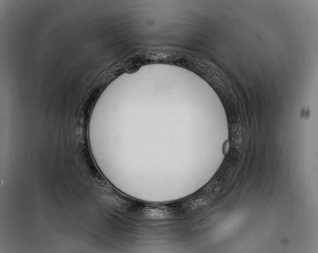 X0000099520510200806121505