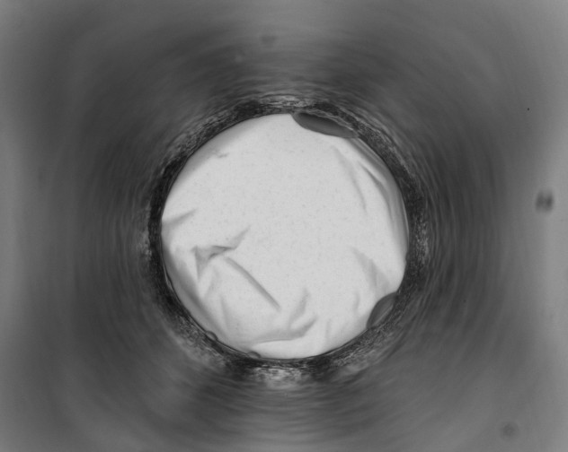 X0000099520512200806121505