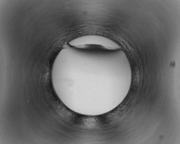 X0000099520513200806121505