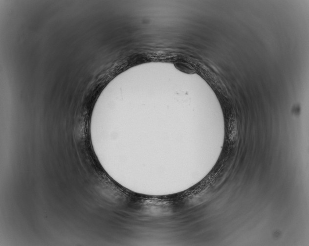 X0000099520515200806121505