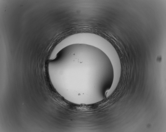 X0000099520516200806121505