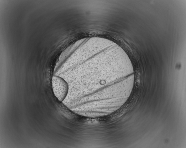 X0000099520519200806121505