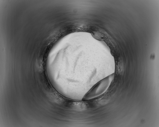 X0000099520520200806121505