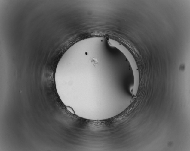 X0000099520521200806121505