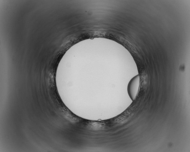 X0000099520522200806121505