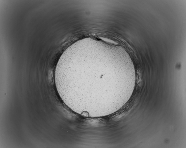 X0000099520523200806121505