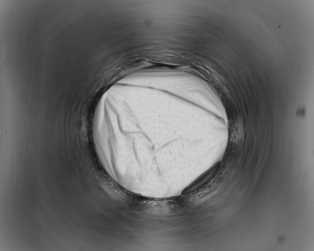 X0000099520524200806121505