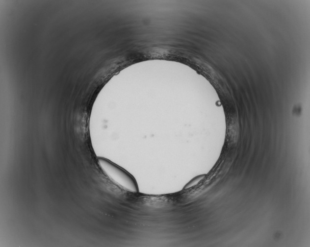 X0000099520525200806121505