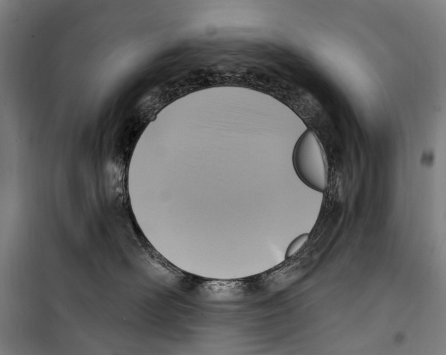 X0000099520526200806121504