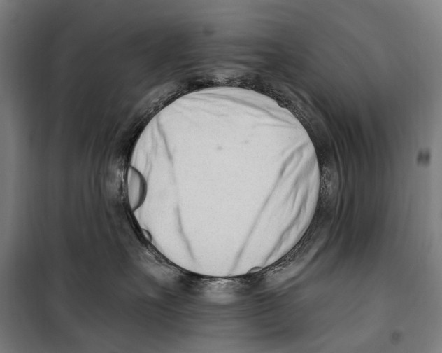 X0000099520527200806121504