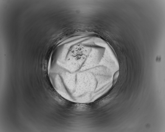 X0000099520528200806121504