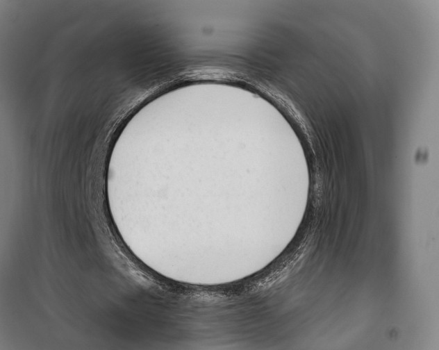 X0000099520529200806121504