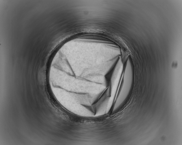 X0000099520531200806121504