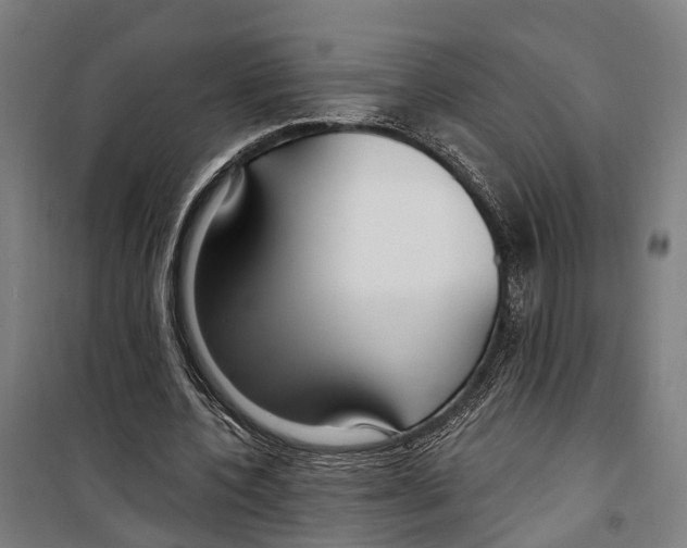 X0000099520532200806121504