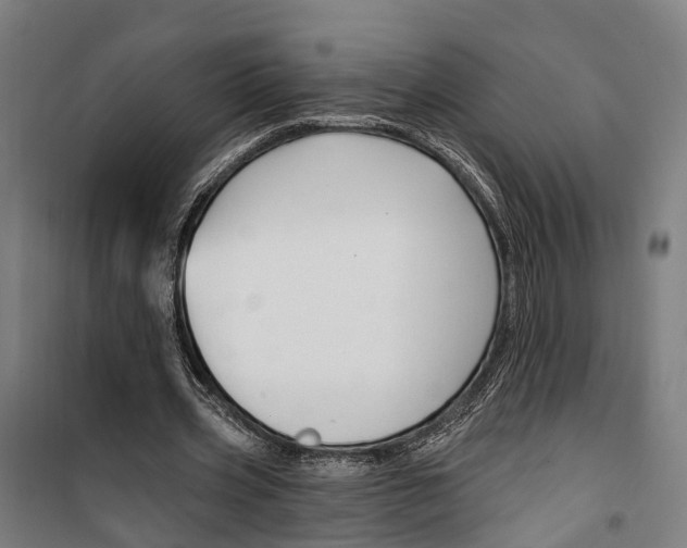 X0000099520533200806121504