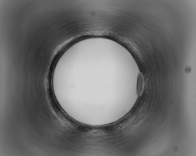 X0000099520536200806121504