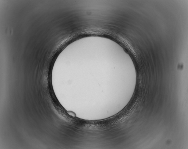 X0000099520538200806121504