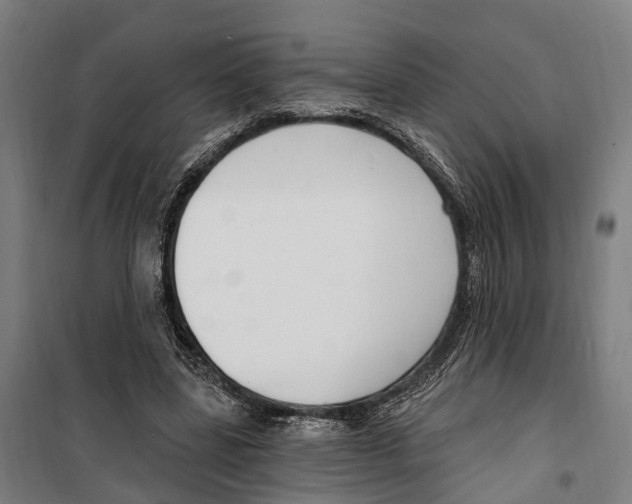 X0000099520539200806121504