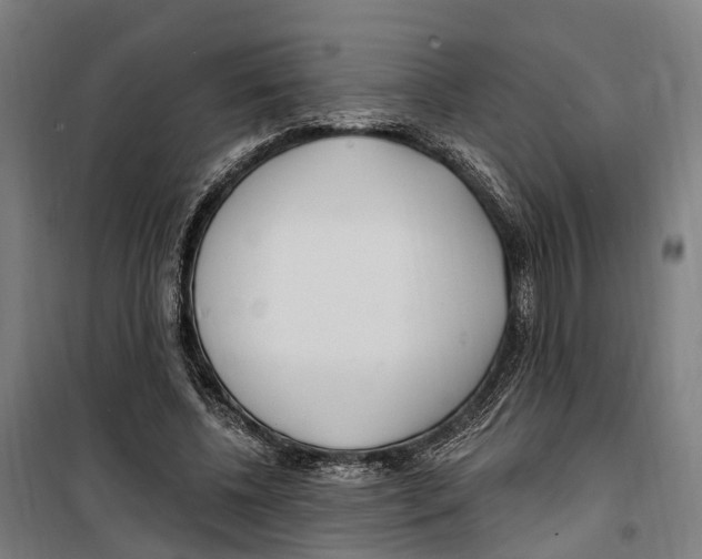 X0000099520540200806121504