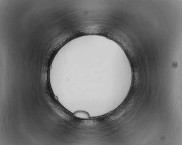 X0000099520541200806121504