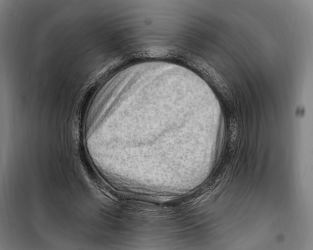 X0000099520542200806121504