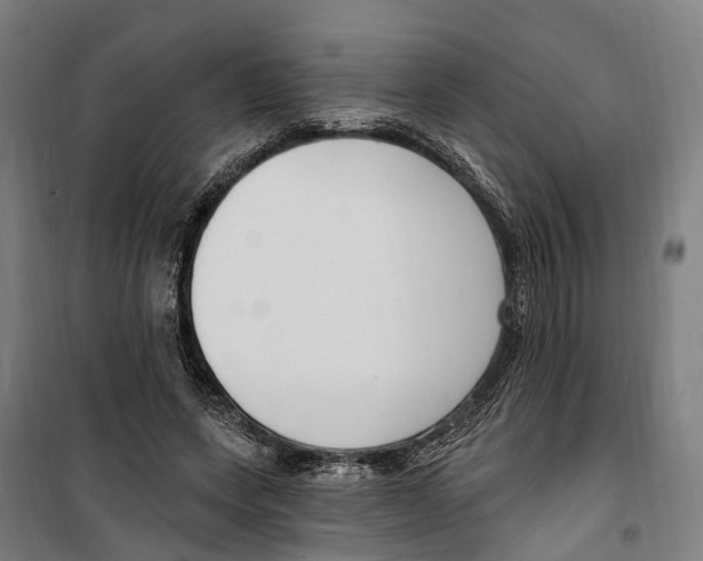 X0000099520543200806121504