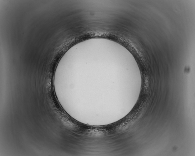 X0000099520545200806121504